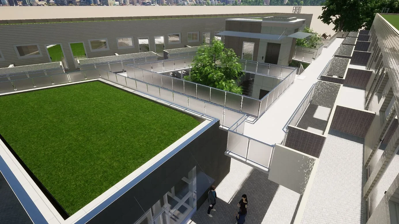 Dachterrasse mit Gründach