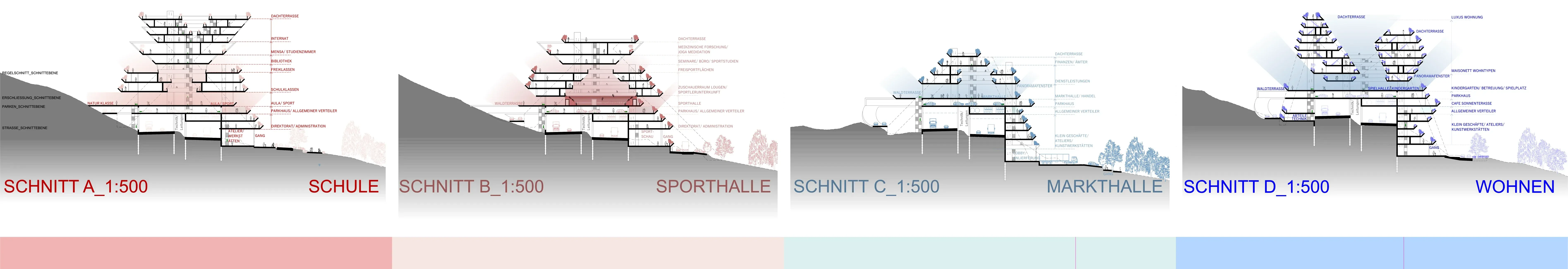 Schnitte A bis D: Schule, Sporthalle, Markthalle, Wohnen